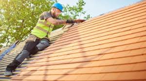 Best Roof Moss and Algae Removal  in Swansea, IL