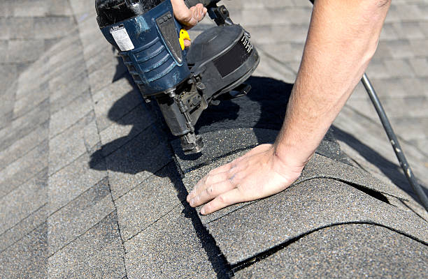 Best Roof Moss and Algae Removal  in Swansea, IL